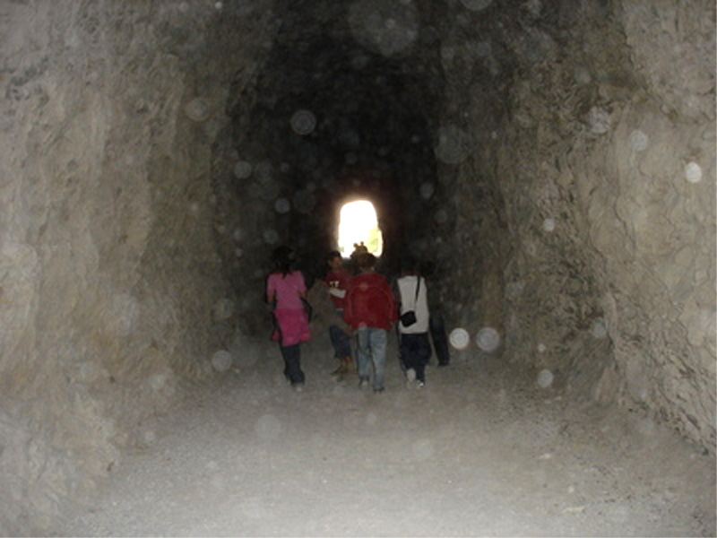 biones en caverna