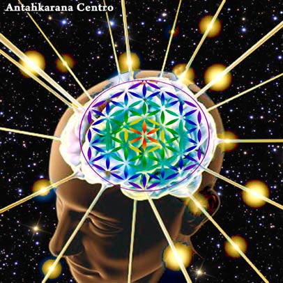 Reiki y chakras